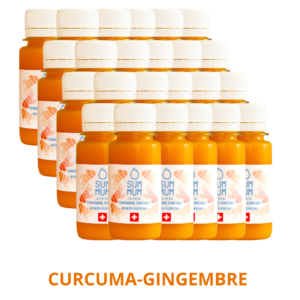 Pack 24 Shots Curcuma Gingembre